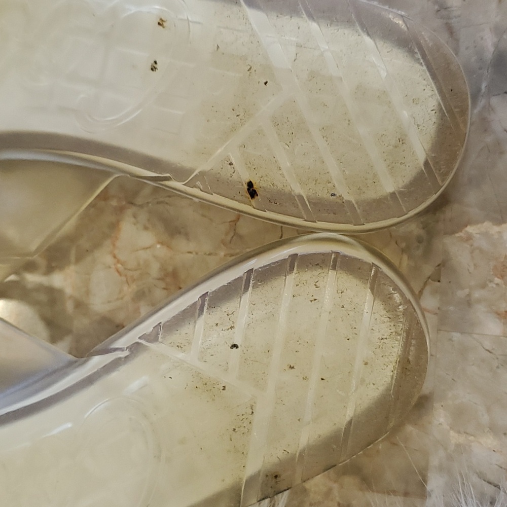 Coach Gold Sandals - Picture 13 of 13